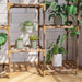 Plant Stand Indoor, Outdoor Wood Plant Stands for Multiple Plants, Plant Shelf Ladder Table Plant Pot Stand for Living Room, Patio, Balcony, Plant Gardening Gift