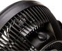 3 Speed Small Room Air Circulator Fan, 11-Inch