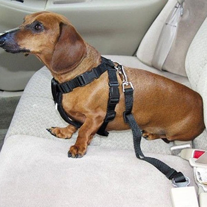Pet Seat Belt Dog Safety Adjustable Clip Car Auto Travel Vehicle Safe Puppy Cat Seatbelt