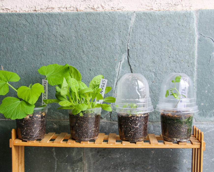Clear Nursery Pots with Humidity Dome 30 Sets 4" Transparent Plastic Plant Pot Seedling Planter Seed Starter Pots Flower Pot with 10Pcs Plant Labels for Indoor Outdoor Garden