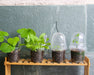 Clear Nursery Pots with Humidity Dome 30 Sets 4" Transparent Plastic Plant Pot Seedling Planter Seed Starter Pots Flower Pot with 10Pcs Plant Labels for Indoor Outdoor Garden