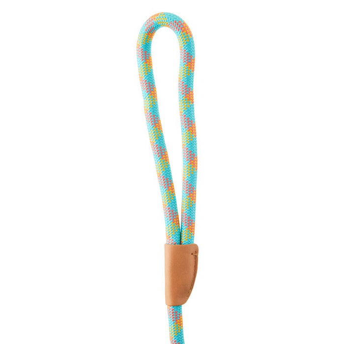 Vibrant Life 6' Polyester Mosaic Rope Dog Leash, Multi-Color