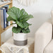6Inch Modern Cylinder Matte Ceramic Planter Pot with Drainage Hole and Saucer , Planter Pot for Indoor Outdoor Plants Flowers , White/Gray