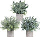 Set of 3 Mini Potted Artificial Eucalyptus Plants Plastic Fake Green Rosemary Plant for Home Decor Office Desk Shower Room Decoration