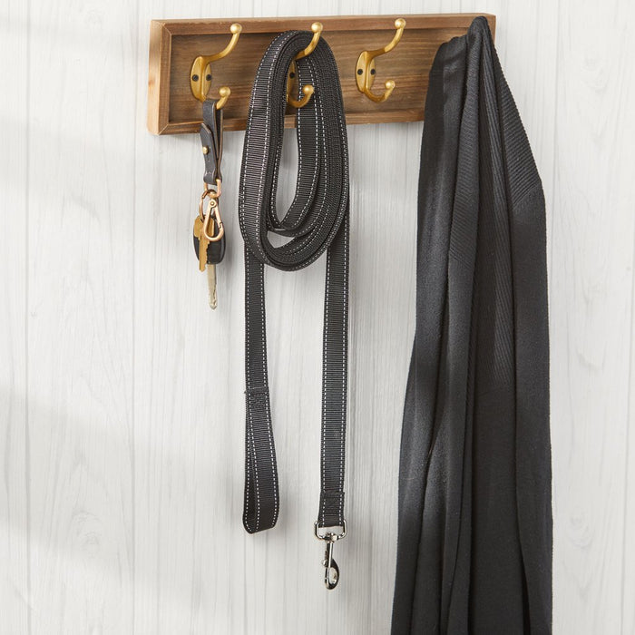 Vibrant Life 20' Polyester Slip Lead Dog Leash, Black, L