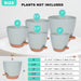 Plant Pots 7/6.5/6/5.5/5 Inch Self Watering Planters for Indoor Plants with Drainage Hole, Nursery Planting Pot Plastic Flower Pot for Succulents, African Violet (Green)