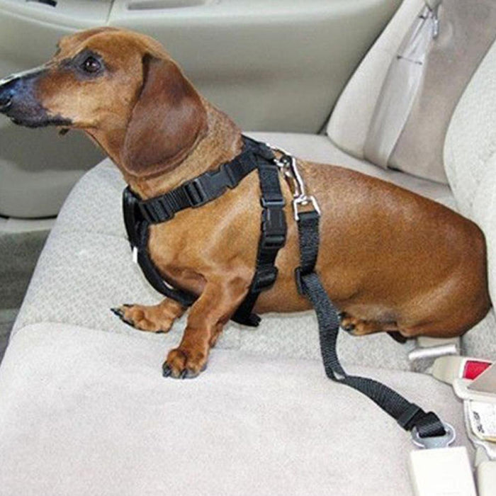 Pet Dog Cat Seat Belts, Car Headrest Restraint Adjustable Safety Leads Vehicle Seatbelt Harness