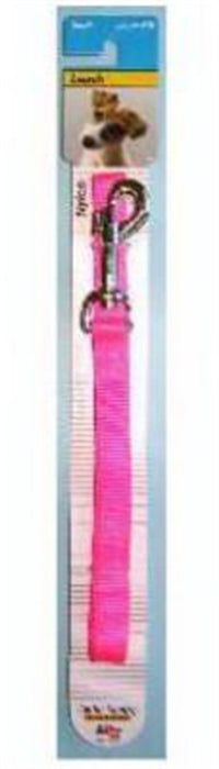 Ruffin' It 4 Ft. Nylon Small Dog Leash 31454