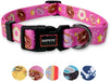 QQPETS Adjustable Soft Dog Collar: Print Flower Pink Multicolor Cute Patterns for XS Small Medium Large Pet Girl Boy Puppy Walking Running Training (M, Bone)
